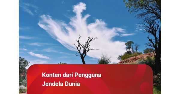 Pelangi di Setiap Garis: Mengenal Toko Alat Tulis Pelangi di Cilacap